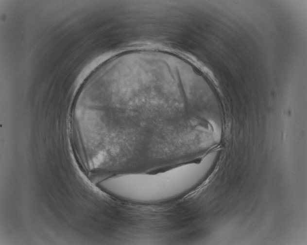 X0000084031239200703161757