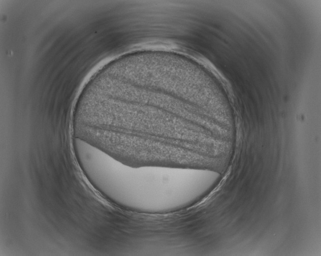 X0000084031240200703161757