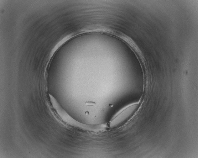 X0000084031242200703161757