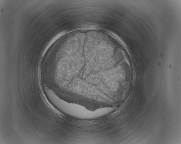 X0000084031243200703161757