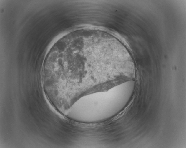 X0000084031247200703161757