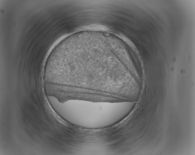 X0000084031248200703161757