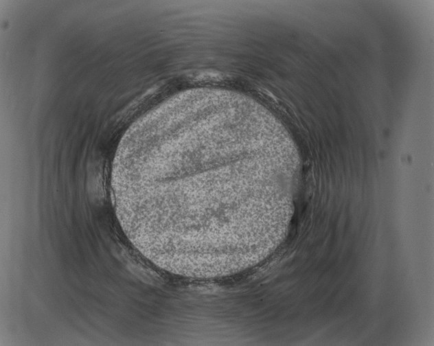 X0000084031250200703161757