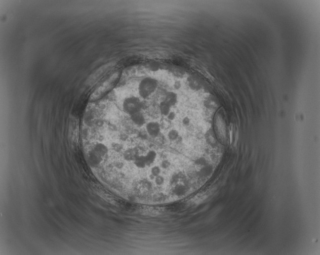 X0000084031251200703161756