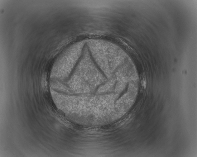 X0000084031252200703161756