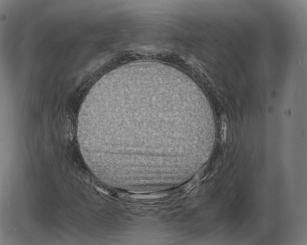 X0000084031253200703161756