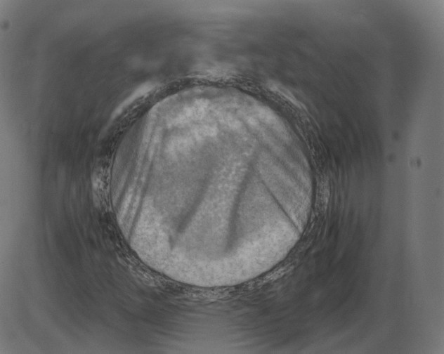 X0000084031254200703161756