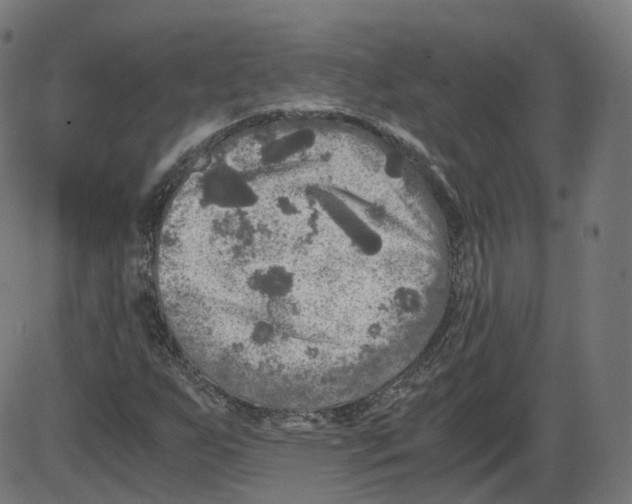 X0000084031255200703161756