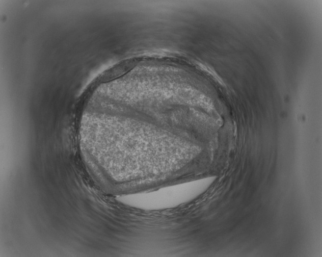 X0000084031256200703161756