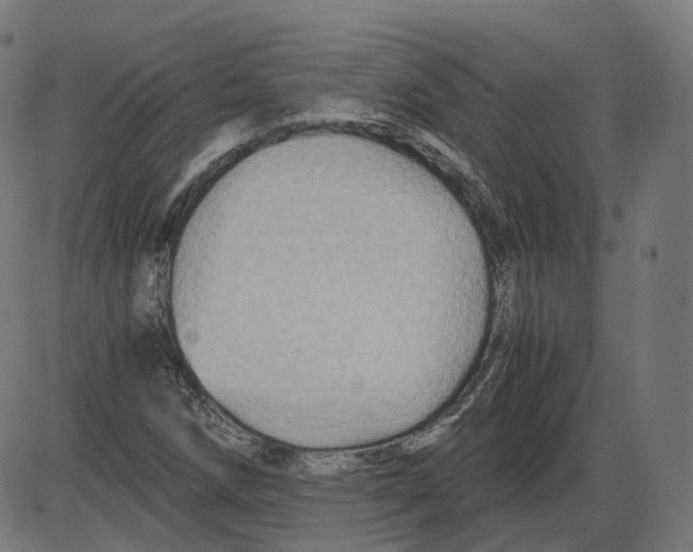 X0000084031258200703161756