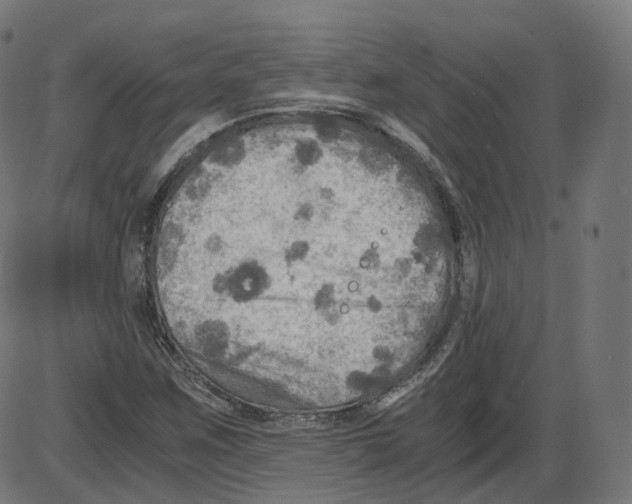 X0000084031259200703161756