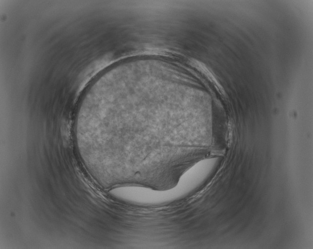 X0000084031260200703161756