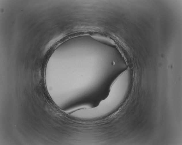 X0000084031261200703161756