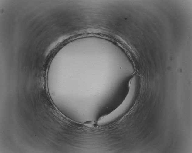 X0000084031262200703161756