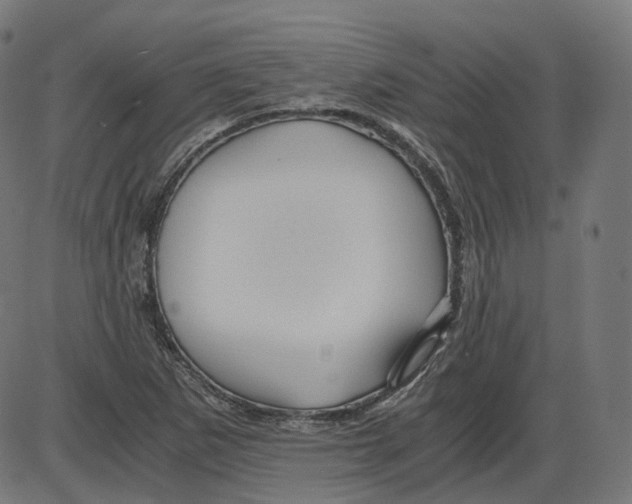 X0000084031265200703161756