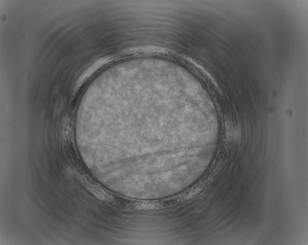 X0000084031266200703161756