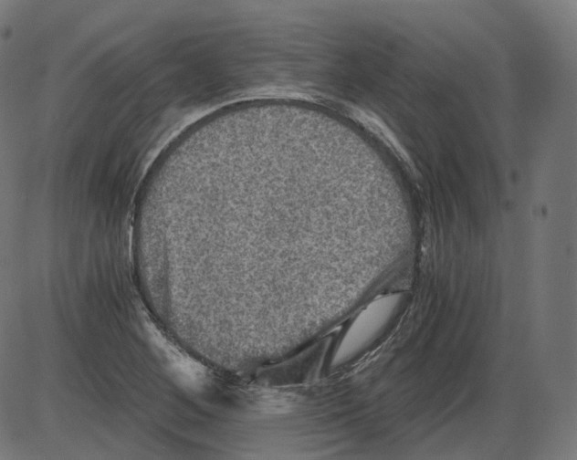 X0000084031268200703161756