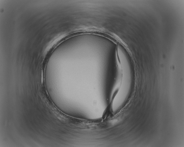 X0000084031269200703161756