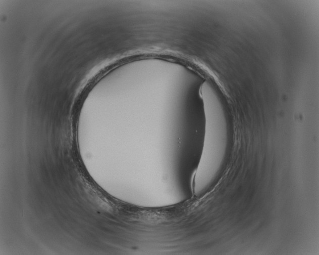 X0000084031270200703161756