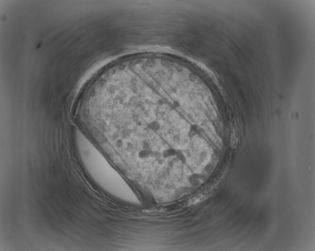 X0000084031271200703161756