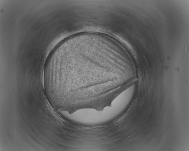 X0000084031272200703161756