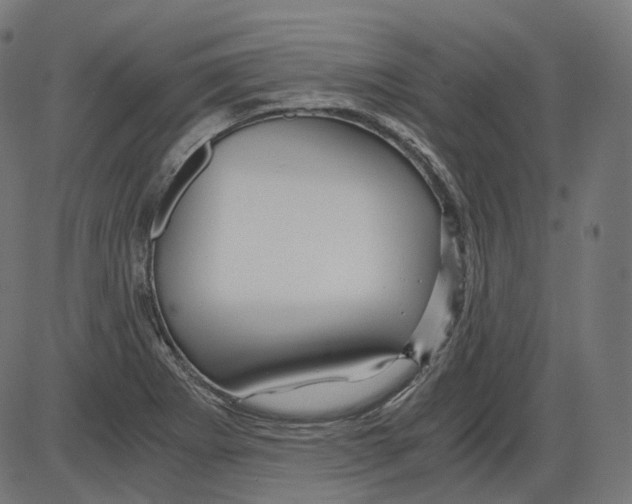 X0000084031273200703161756