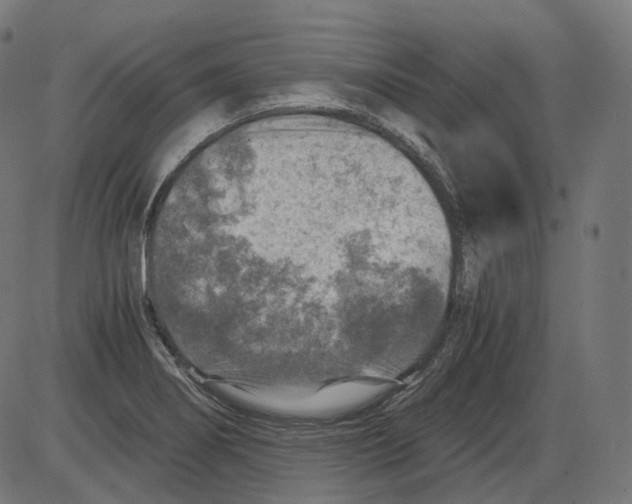 X0000084031274200703161756