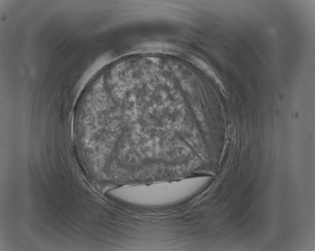 X0000084031275200703161756