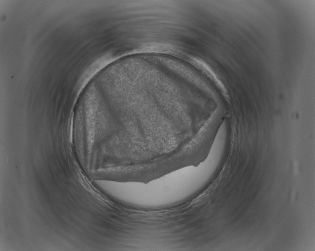 X0000084031276200703161756