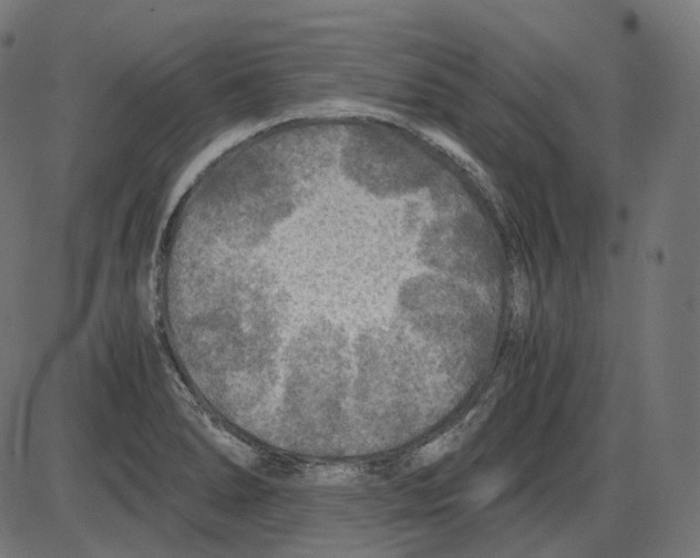 X0000084031278200703161756