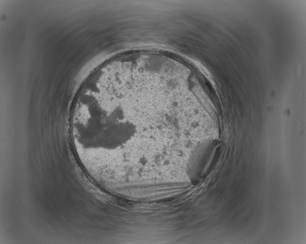 X0000084031279200703161756