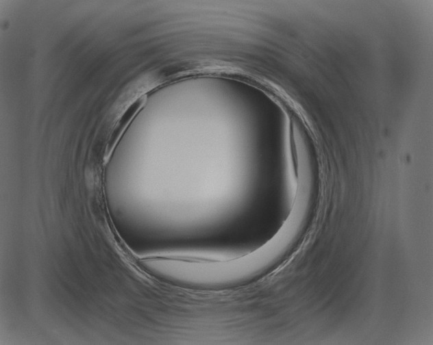 X0000084031281200703161756