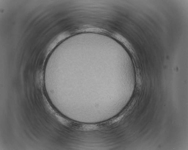 X0000084031282200703161756