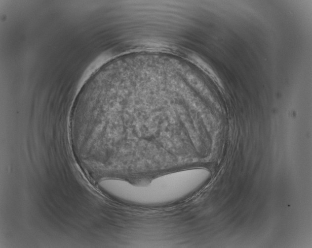 X0000084031283200703161756