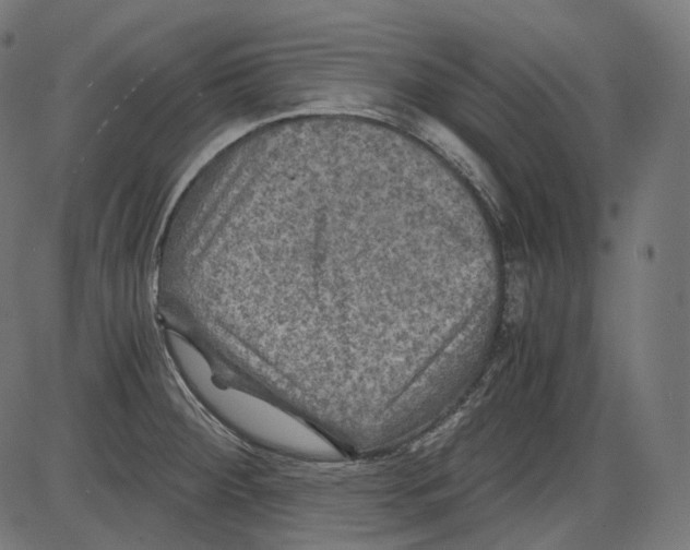 X0000084031284200703161756