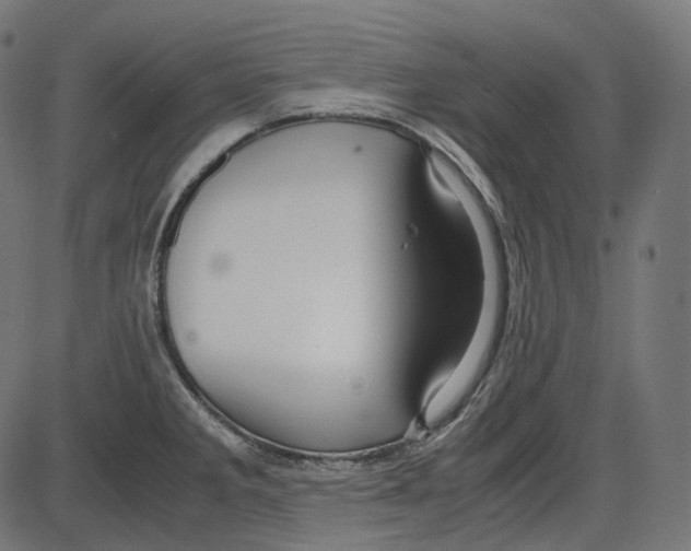 X0000084031285200703161756