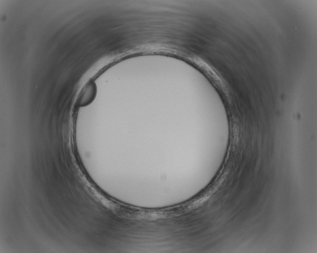 X0000084031286200703161756