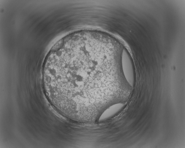 X0000084031287200703161756