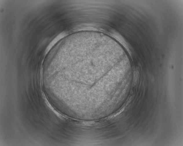 X0000084031290200703161756