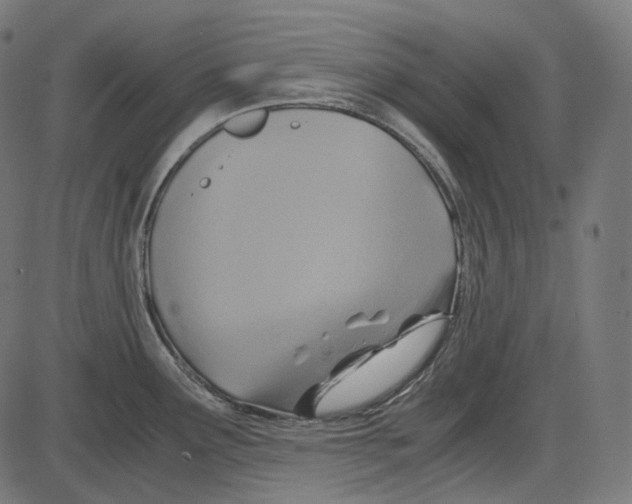 X0000084031291200703161756