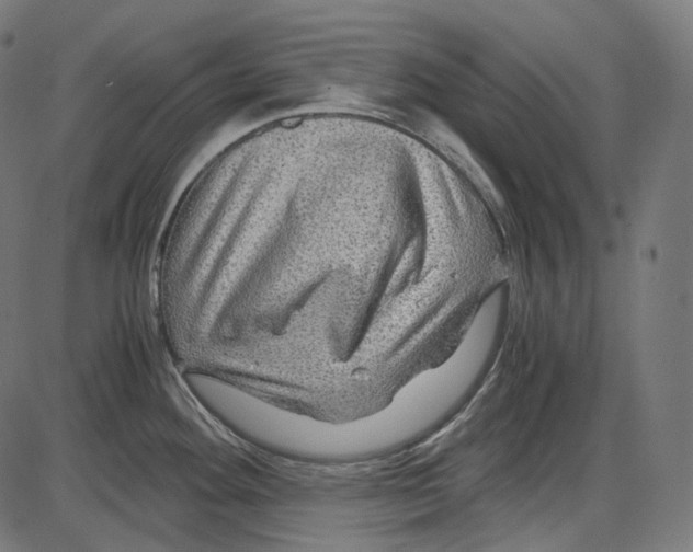 X0000084031292200703161756