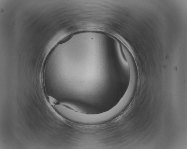 X0000084031293200703161756