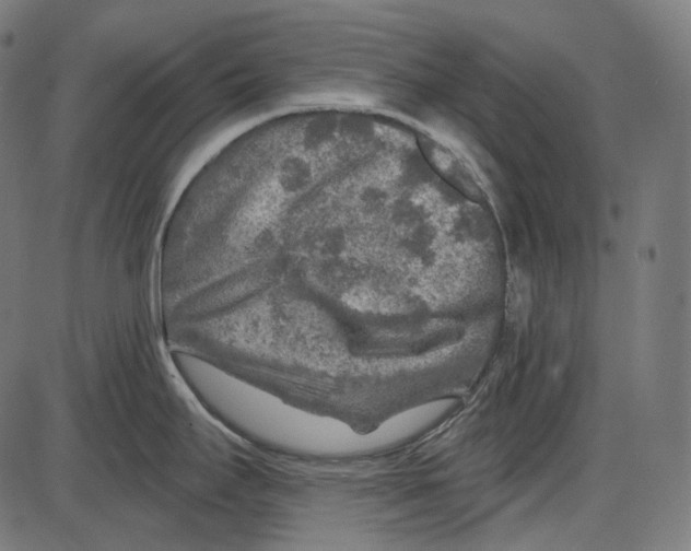 X0000084031295200703161756