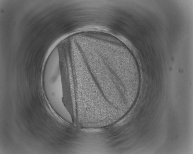 X0000084031296200703161756