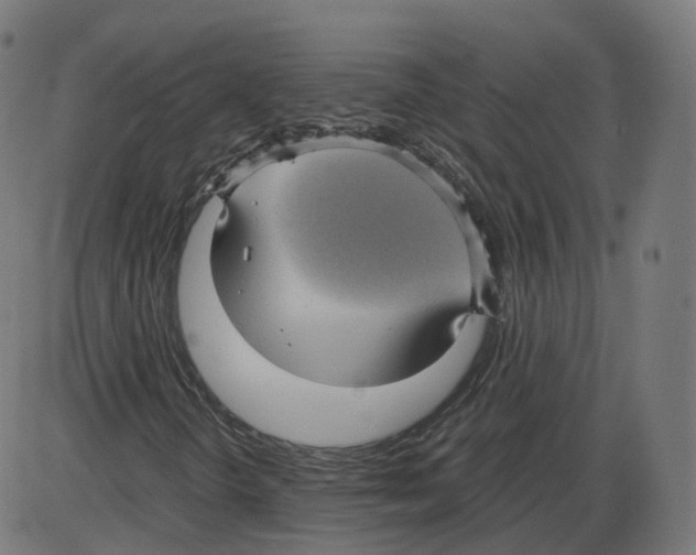 X0000084031298200703161755