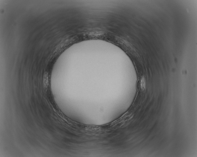 X0000084031299200703161755