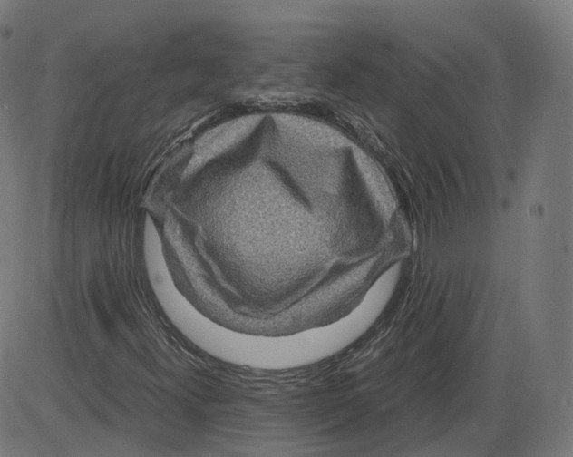 X0000084031300200703161755