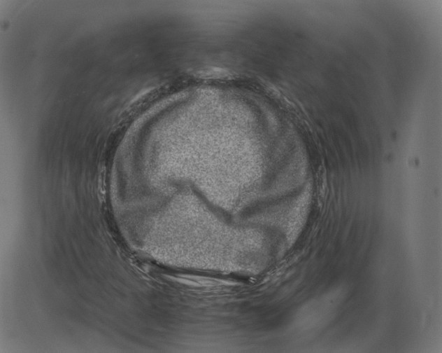 X0000084031301200703161755