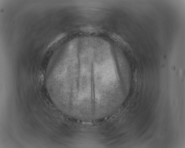 X0000084031302200703161755