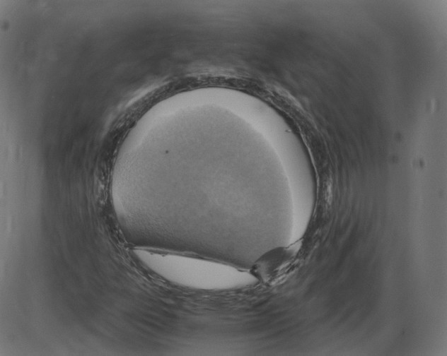 X0000084031303200703161755